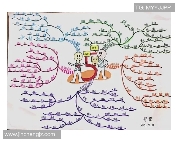 杭州羽毛球队在锦标赛中的团队协作表现分析与点评